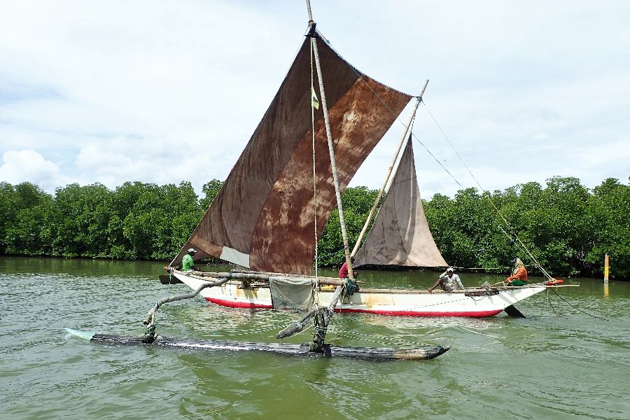 17. catamaran sailing tour.JPG